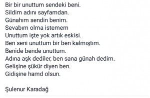 siirler4