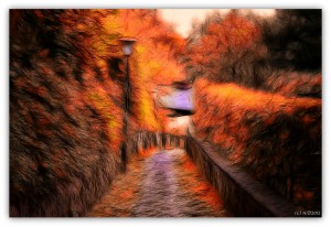 271372_284391148332817_315691470_o