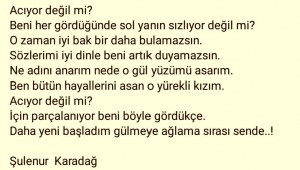siirler2